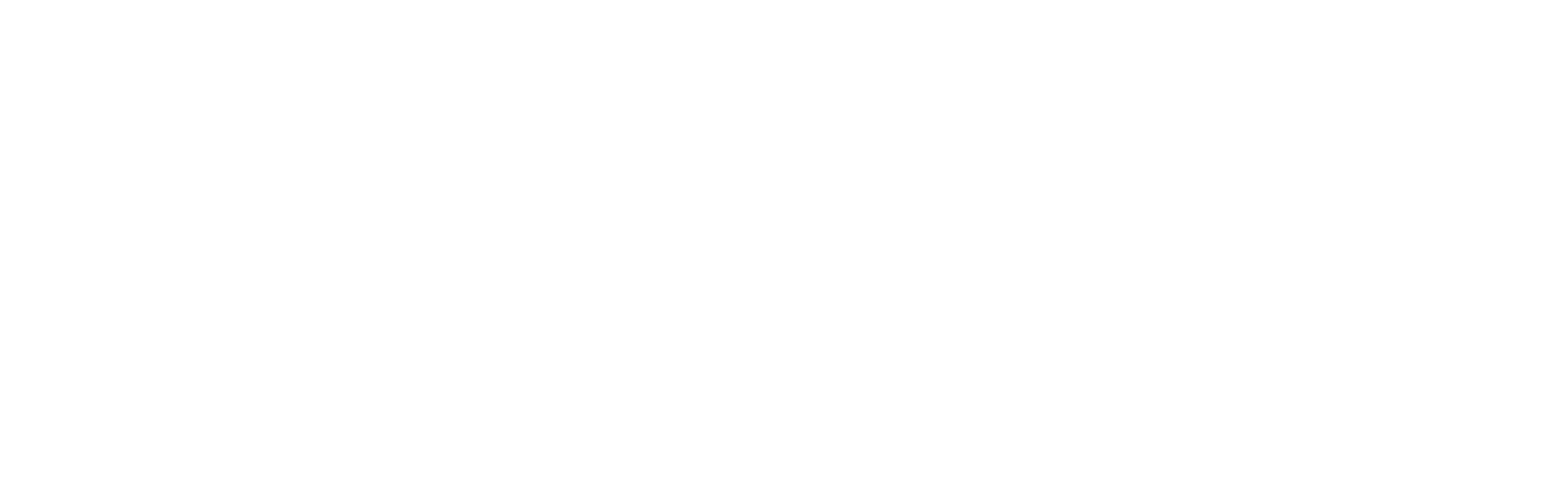Logo Vass